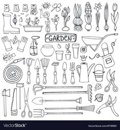 garden tools and gardening implements drawn by hand