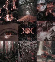 the collage shows an image of a forest with trees, fire and moon phases