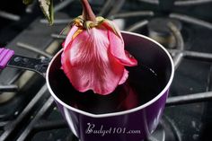 a pink flower sitting in a purple cup on top of a stove burner next to a spatula