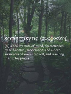 there is a path in the woods with words above it that read sophhronye