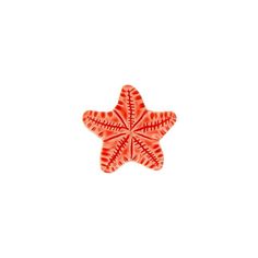 an orange and white starfish on a white background