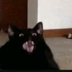 a black cat laying on the floor with it's mouth open and tongue out