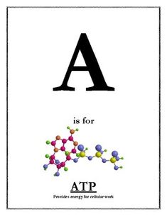 a is for atp printable worksheet