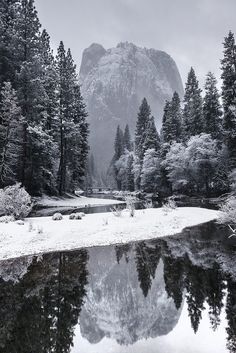 a mountain is reflected in the still water of a river surrounded by trees and snow