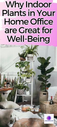 Looking to add a touch of green to your home office? 💚 Not only are indoor plants beautiful, they also promote better well-being! 🌿🧘‍♂️🧘‍♀️ Discover how to improve air quality, reduce stress, and increase productivity with the help of these green wonders!✨