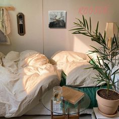 a bed with white sheets and pillows next to a plant on top of a glass table