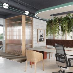 an office with plants hanging from the ceiling and two desks in front of them