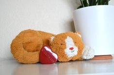 a teddy bear laying next to a potted plant on a shelf with a red heart