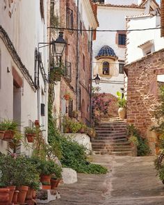 an alley way with potted plants on either side and stairs leading up to the top