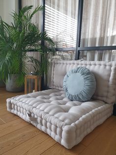 a white couch sitting on top of a hard wood floor next to a potted plant