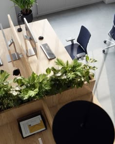 an overhead view of a wooden table with plants and laptops on it, along with other office furniture