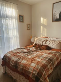 a dog laying on top of a bed in a bedroom next to a large window