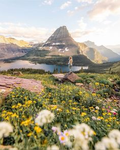 a person standing on top of a mountain with flowers in the foreground and mountains in the background