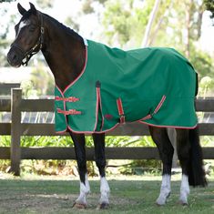 a brown horse wearing a green blanket standing in the grass next to a wooden fence