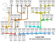 a diagram showing the different types of trees in each country, and their corresponding branches