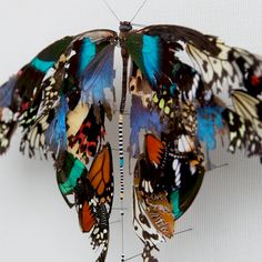 a colorful butterfly hanging from the side of a white wall next to a string attached to it's wings