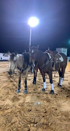 two horses are tied up in the dirt at night with their harnesses on and one horse is standing next to them