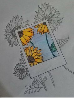 a drawing of sunflowers in a photo frame