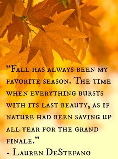 fall has always been my favorite season the time when everything bursts with its last beauty, as if nature had been saving up