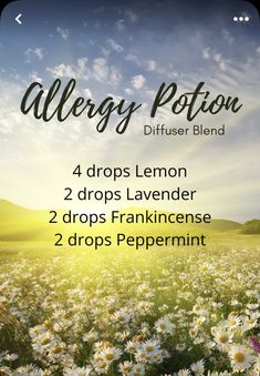 Homemade Alternatives, Seasonal Allergy Relief, Essential Oils Allergies, Essential Oil Perfumes Recipes, Diffuser Oils