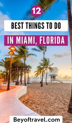 palm trees on the beach with text overlay reading 12 best things to do in miami, florida