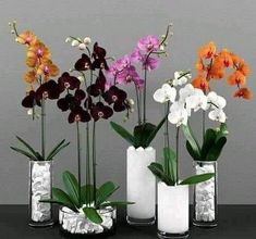 three vases filled with different types of flowers on top of a black table next to each other