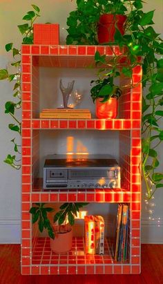 a shelf with some plants and books on it