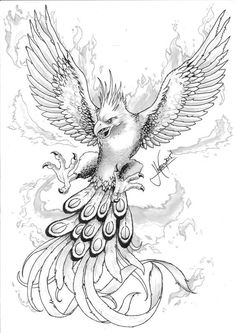 a black and white drawing of a bird with its wings spread out in the air