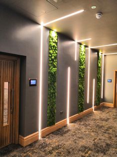 an empty room with some plants growing on the wall and lights in the ceiling above it