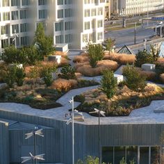 an aerial view of a city with buildings and trees in the foreground, including a green roof