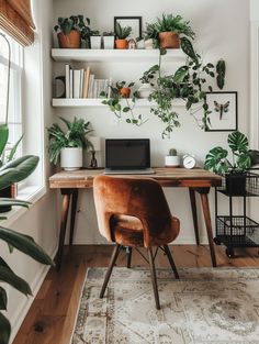 a home office with plants on the shelves and a laptop computer sitting on a desk