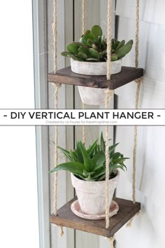 two hanging planters with succulents in them and the words diy vertical plant hanger