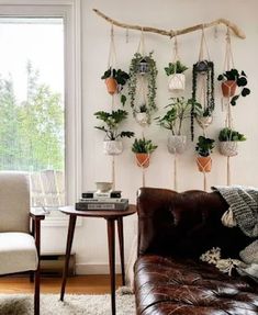 a living room filled with furniture and potted plants hanging on the wall next to a window