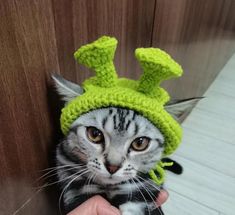 a cat wearing a green knitted hat with ears on it's head while being held by someone