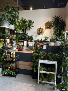 a room filled with lots of potted plants