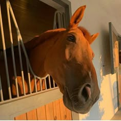 a brown horse standing next to a white wall and wooden fenced in area with windows