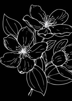 a black and white drawing of flowers on a black background