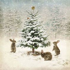 three rabbits are sitting in front of a christmas tree with a star on top and snow falling all over the ground