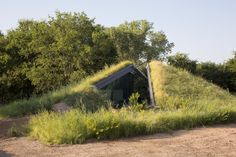 a green roof on top of a building with grass growing out of it's sides