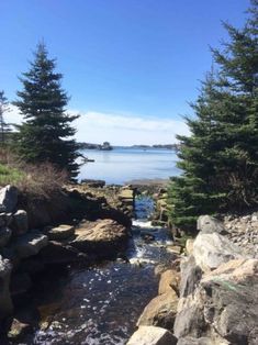 the water is running through some rocks by the shore with pine trees in the background