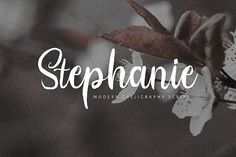 the word stephanie written in white on a black and white background with flowers around it