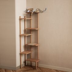 two cats sitting on top of a wooden shelf next to a wall mounted cat tree