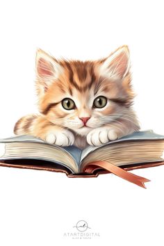 a kitten laying on top of an open book