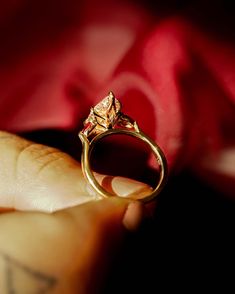 a hand holding a gold ring in front of a red rose