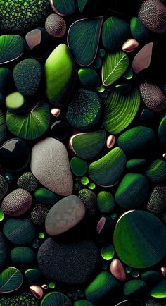 green and black rocks with leaves on them