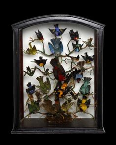 a group of birds sitting on top of a tree branch in a glass display case