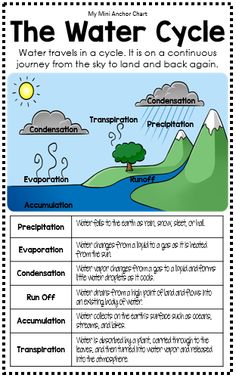 the water cycle worksheet for students to learn how to write and understand it