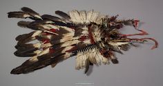 an arrangement of feathers is displayed on a gray surface with red and black strips in the middle