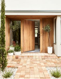 two potted plants sit in front of the entrance to a house with wooden doors