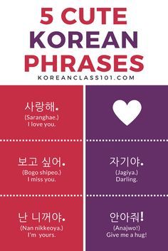 the 5 cute korean phrases are in three different languages, and one is for each other